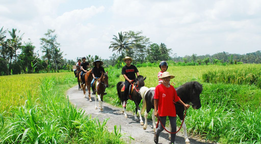 Bali Horse Riding ATV Tour